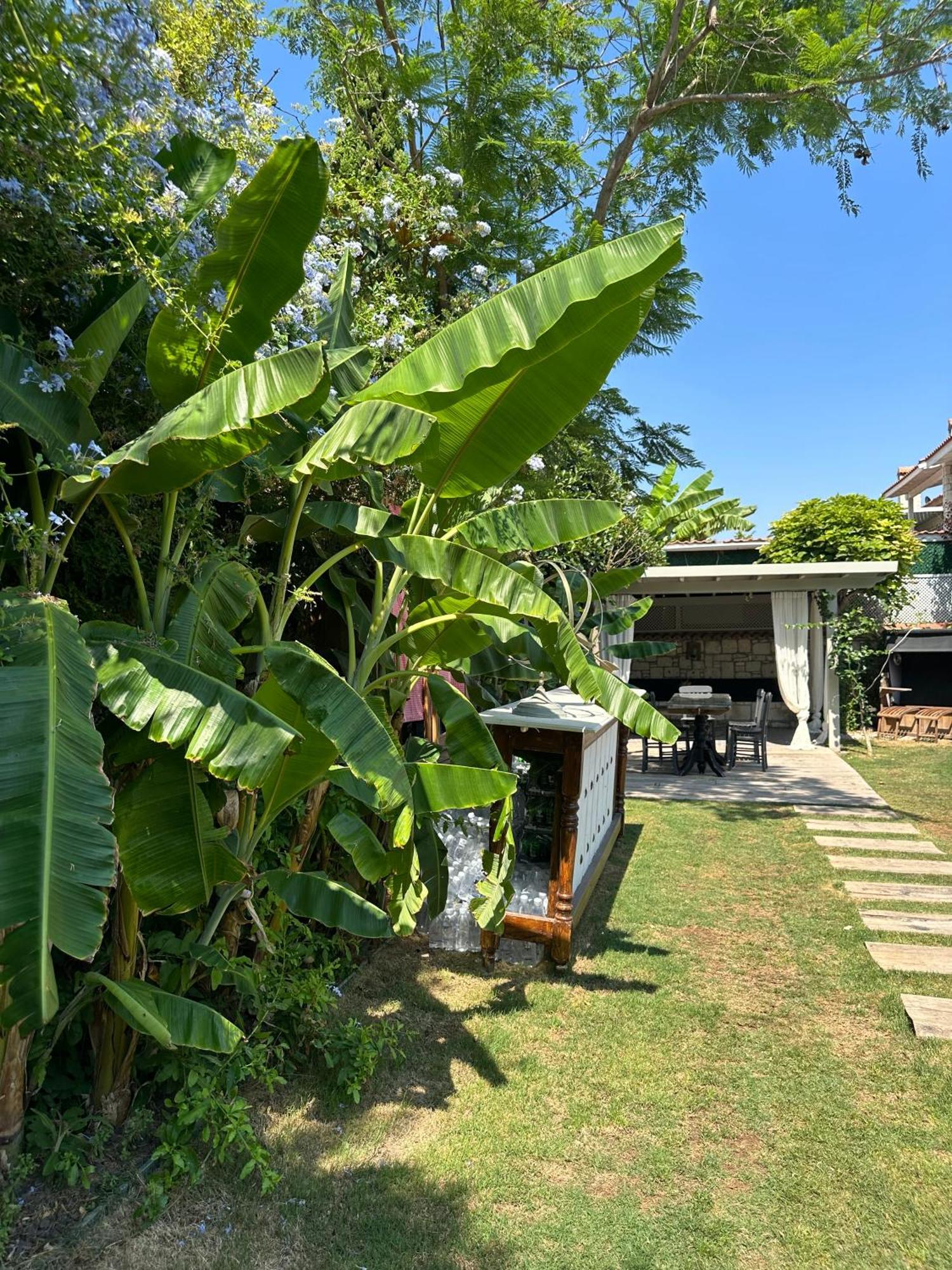 Argente Alacati (Adults Only) Εξωτερικό φωτογραφία